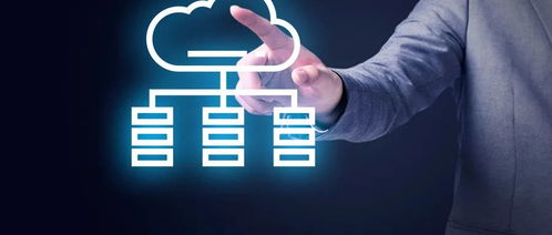 互联网企业数据安全合规与刑事风险防范——安全咨询服务的核心价值